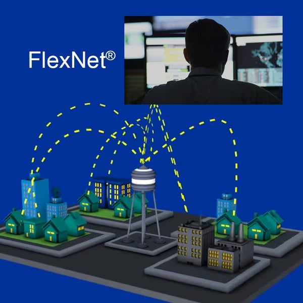 FlexNet