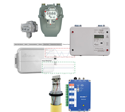 Sensus Smart Sensor Solutions