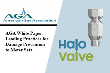 AGA White Paper on HaloValve