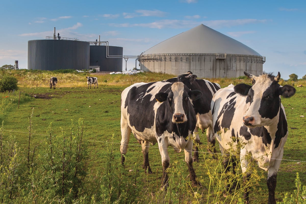 2024 04 Bio Gas Farm 01